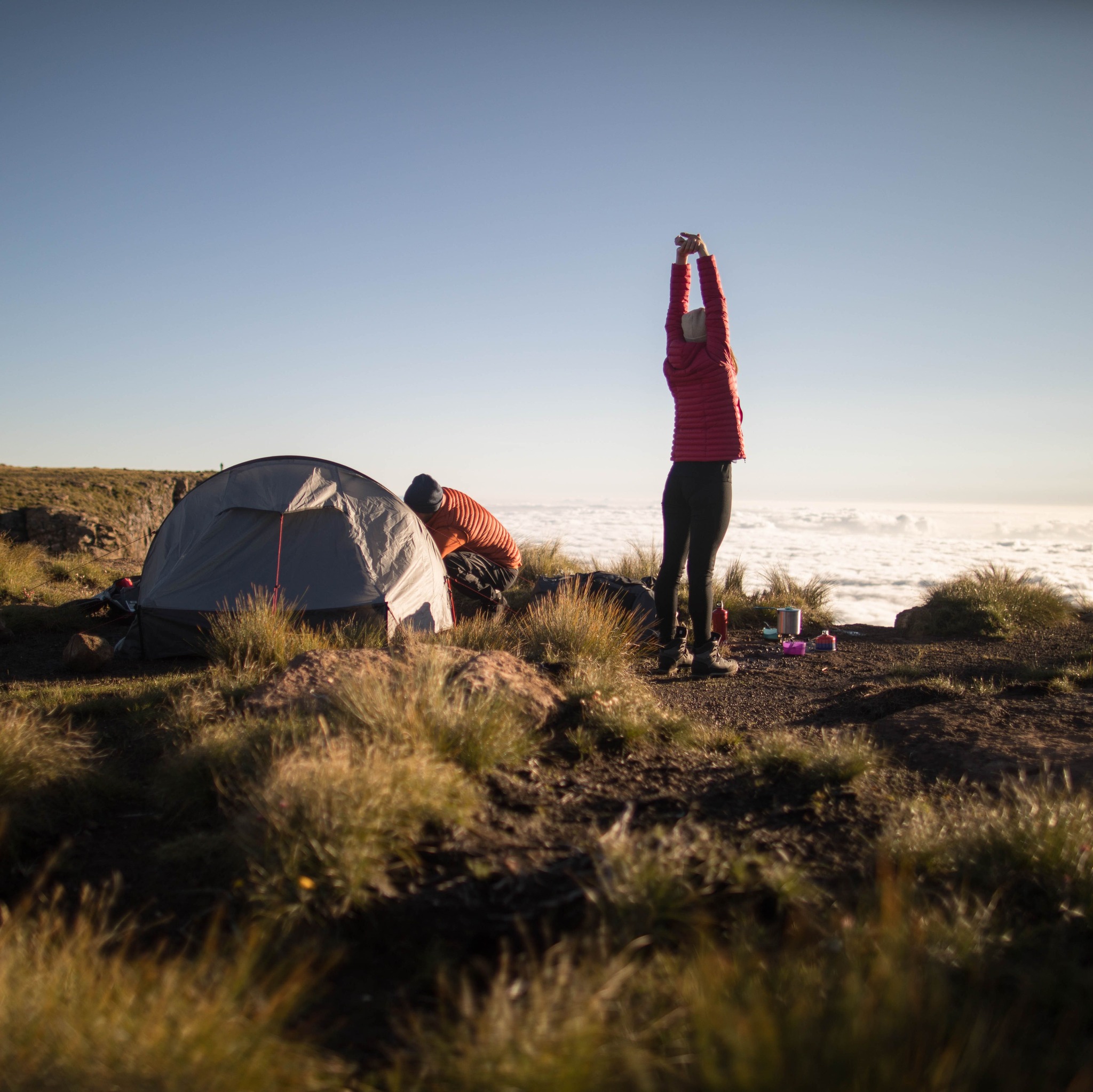 263156829 3193629764190831 8421512087158042094 N